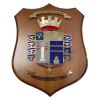 CREST IN METALLO SMALTATO BASE LEGNO 22,5X17,5CM 11 RGT BERSAGLIERI