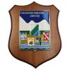 CREST IN METALLO SMALTATO BASE LEGNO 22,5X17,5CM BANDA ESERCITO