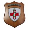 CREST IN METALLO SMALTATO BASE LEGNO 22,5X17,5CM SCUOLA SANITA' VETERIN.