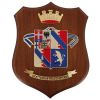 CREST IN METALLO SMALTATO BASE LEGNO 22,5X17,5CM SCUOLA DI APPLICAZIONE